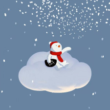 Snowy Land