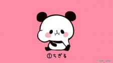 Mochimochi Panda