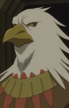 Condor Hawk