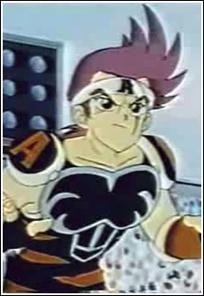Mido Arashi