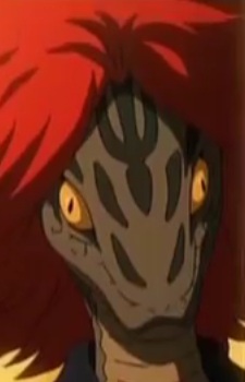 Mongoose Habuko
