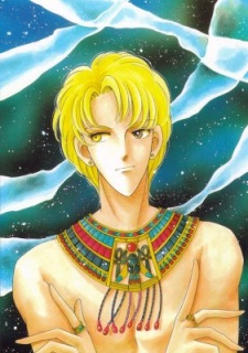 Ramses User
