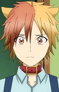 Akisame Tamao
