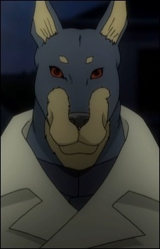 Wansard Kerberos