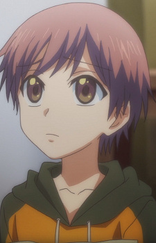 Miyata Rio