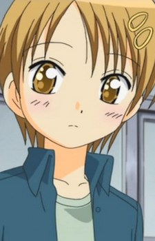 Yamabuki Yae