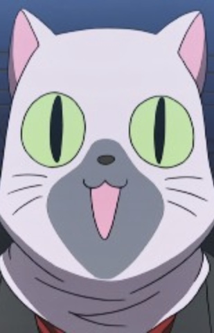 Siamese Cat