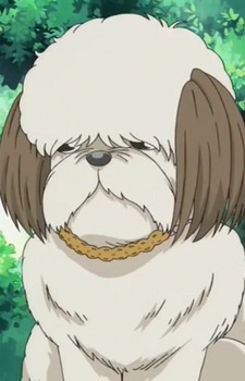 Noda Chocola