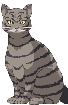 Zakuro