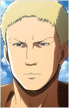 Braun Reiner
