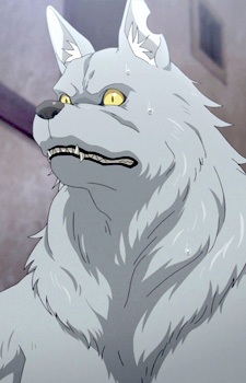 von Kraftman Wolfgang