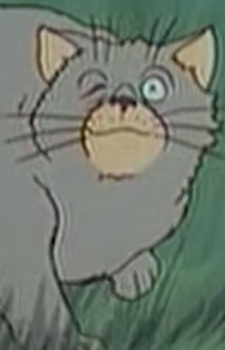 Cat (Bremen)