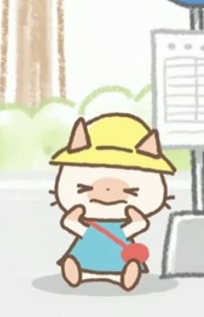 Kitten