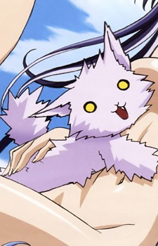 Yamaneko Kanden