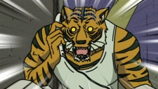 Tiger Armour
