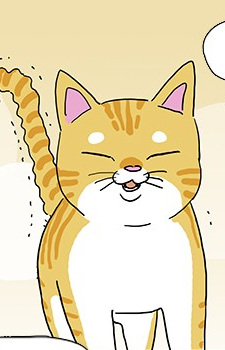 Kim Meowmeow