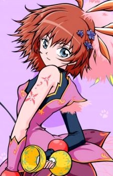 Passel Rosetta