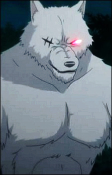 Wildman Lobo