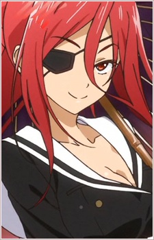 Nikaidou Arashi