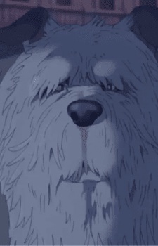Old Dog