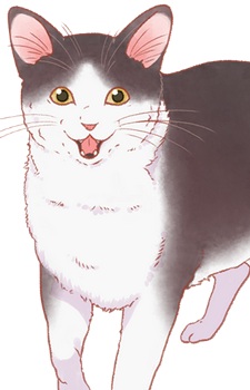 Tama