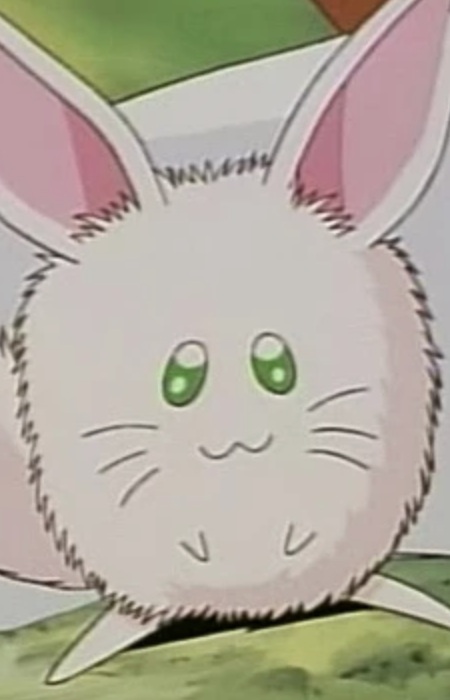 Rurupapa