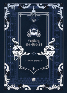 A Wicked Tale of Cinderella's Stepmom