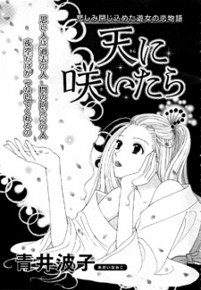 Sora ni Saitara