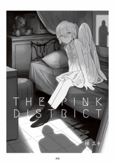 The Pink District