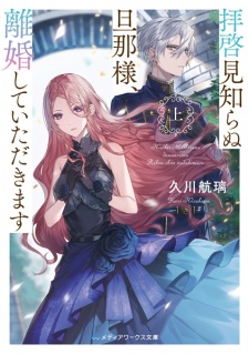 Haikei Mishiranu Dannasama, Rikon shite Itadakimasu